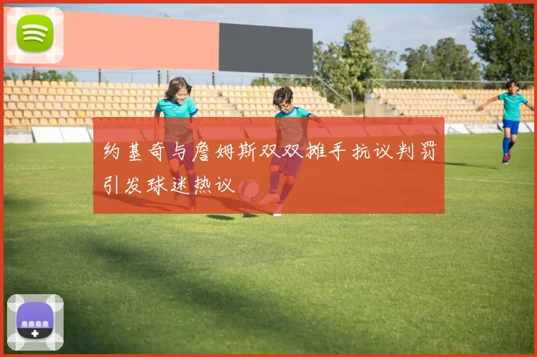 约基奇与詹姆斯双双摊手抗议判罚引发球迷热议