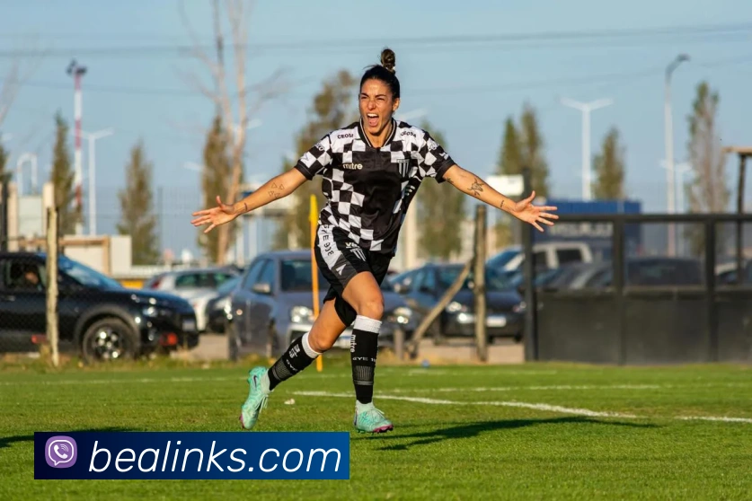 开云在线登录入口官网服务体系